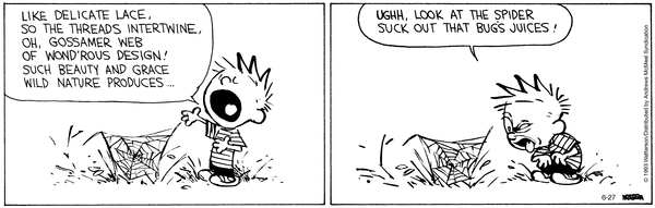 Today's Calvin&Hobbes Cartoon